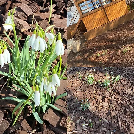 Διαμέρισμα Bernardo