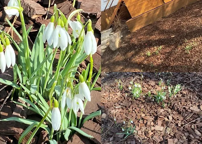 Appartement Bernardo