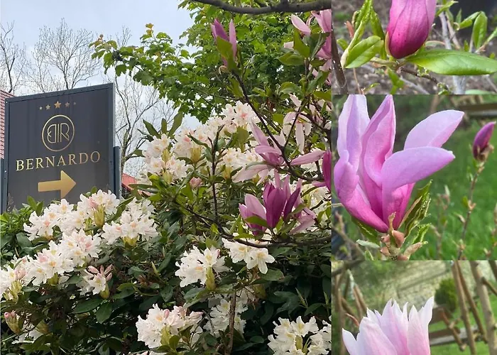 Bernardo Appartement Karpacz